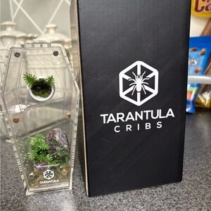 Jumping Spider Enclosure